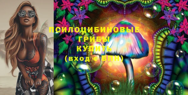 бошки Богданович