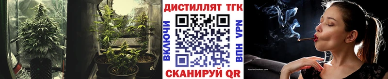 ТГК концентрат  закладка  Белая Холуница 